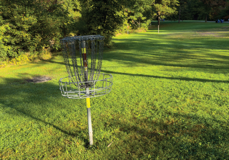 A disc golf basket at ET Seton Park. Disc Golf coming to Scarborough.